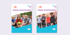 Module straatintimidatie 1