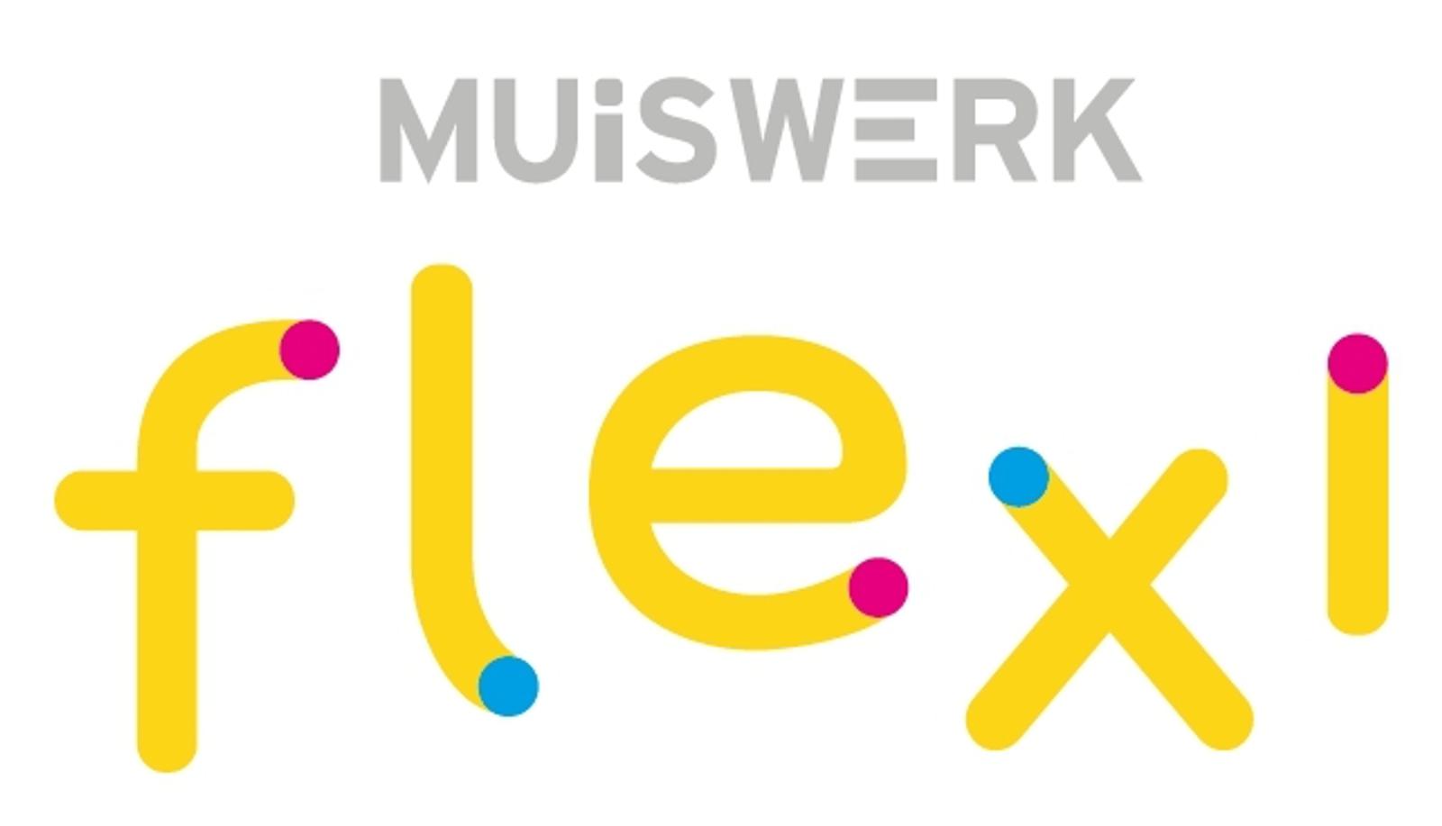 Flexi muiswerk