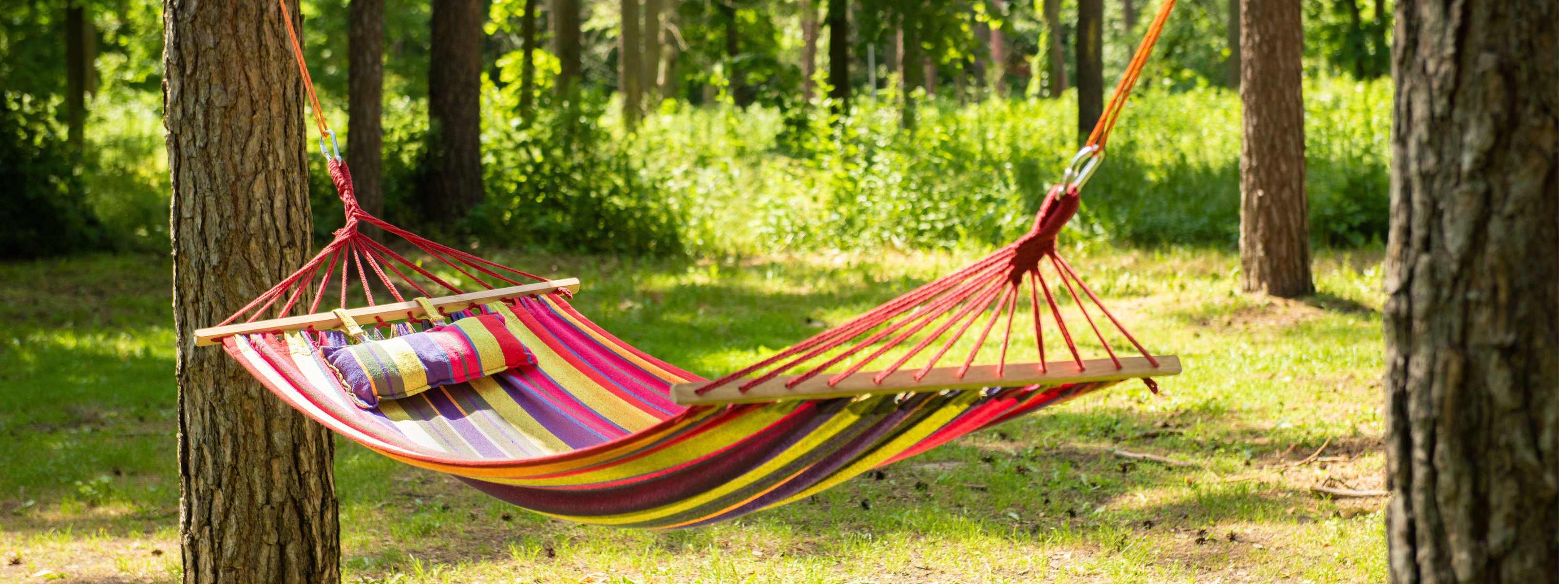Hangmat zomerlezen 2024
