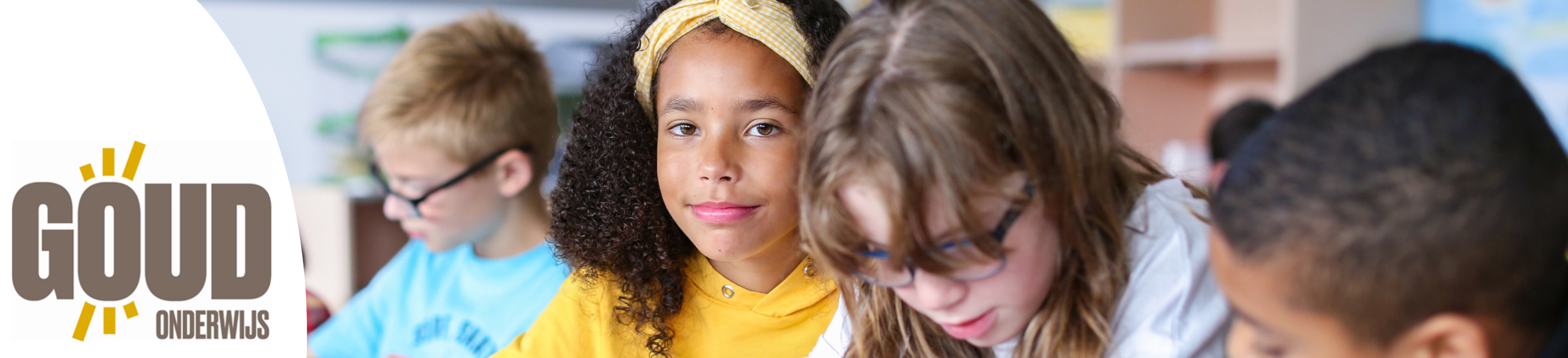 Header Goud Onderwijs 1