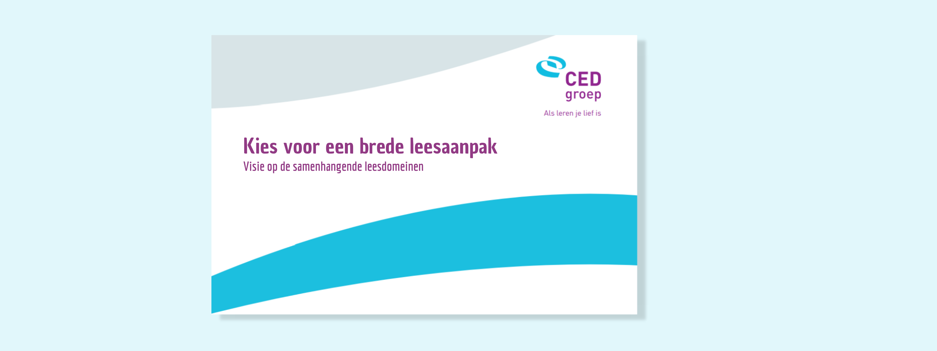 Whitepaper brede leesaanpak
